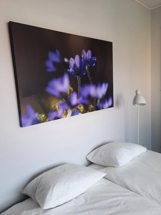 Lidköping Broholm Bed&Breakfast מראה חיצוני תמונה