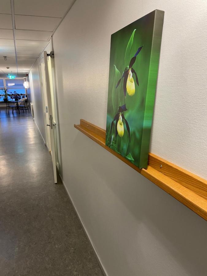 Lidköping Broholm Bed&Breakfast מראה חיצוני תמונה